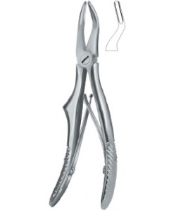 Klein , Roots 51S